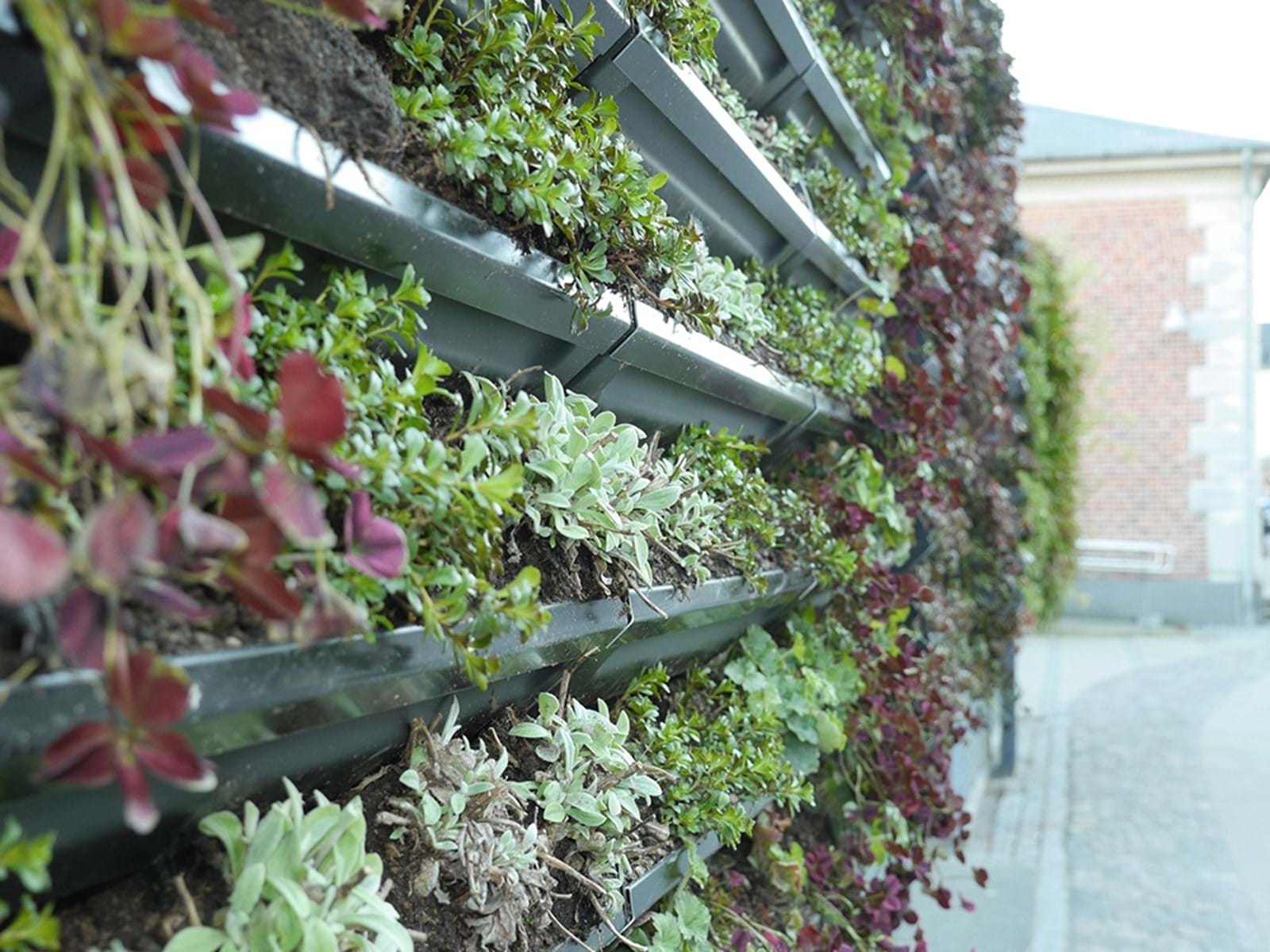 Groen Vag Svendborg6 Groen Vag Svendborg6
