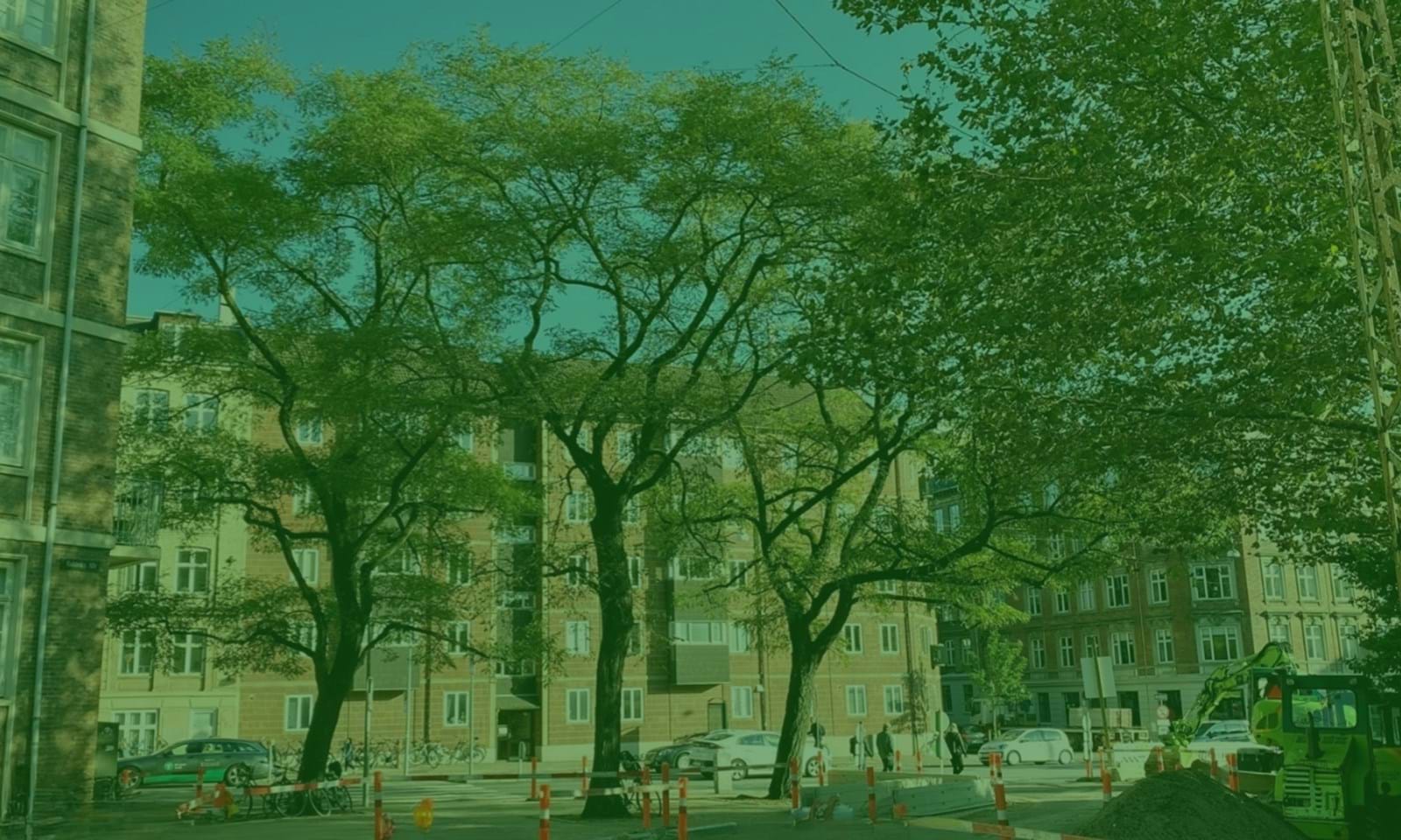 Temadag Kom Til Bunds I Bytræernes Plantehuller 02 Temadag Kom Til Bunds I Bytræernes Plantehuller 02