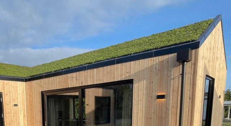 Byggros Bgreen It Sedumbakke