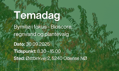 Umbraco.Cms.Core.Models.MediaWithCrops`1[Byggros.Website.Models.ContentModels.Image]