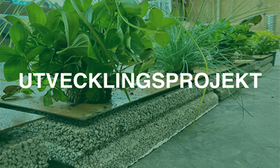 Utvecklingsprojekt Utvecklingsprojekt