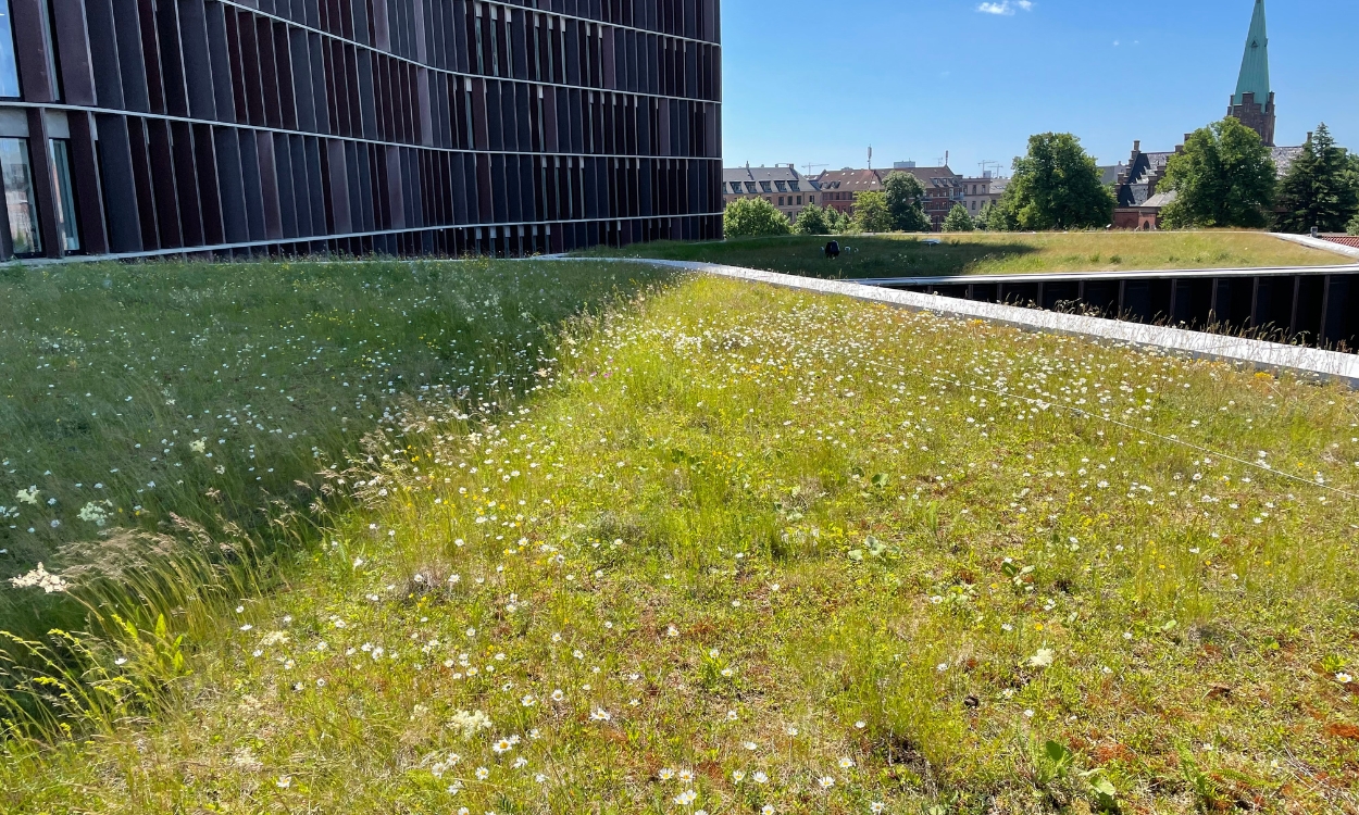 Bgreen It Grønt Tag
