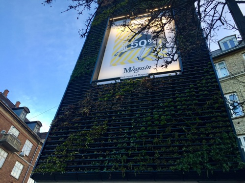 Billede 3: De mange planter, som pryder den flerfunktionelle gavl, er pt i vintertilstand og springer ud, når højere temperaturer rammer landet til foråret.