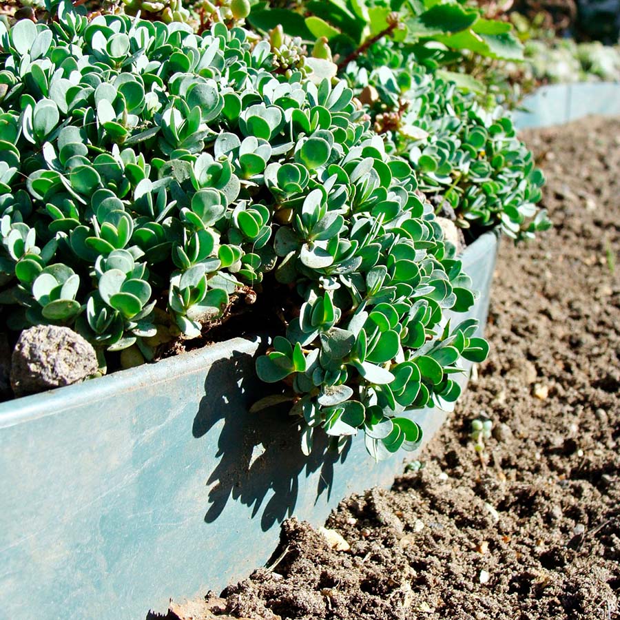 Umbraco.Cms.Core.Models.MediaWithCrops`1[Byggros.Website.Models.ContentModels.Image]