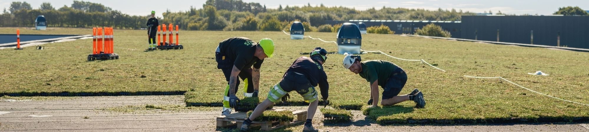 BGreen-it sedumback för sedumtak _ BG Byggros.jpg