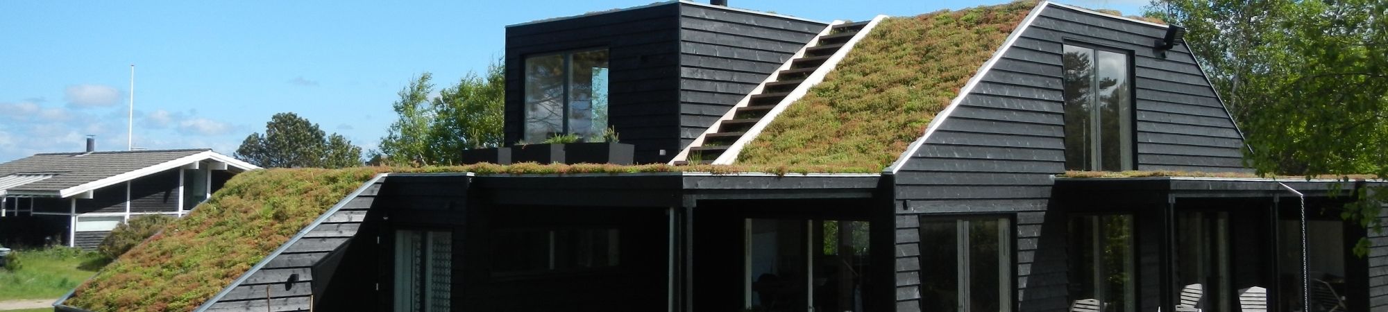 Grønne tage - BGreen-it DiaCell sedumtag Byggros.jpg