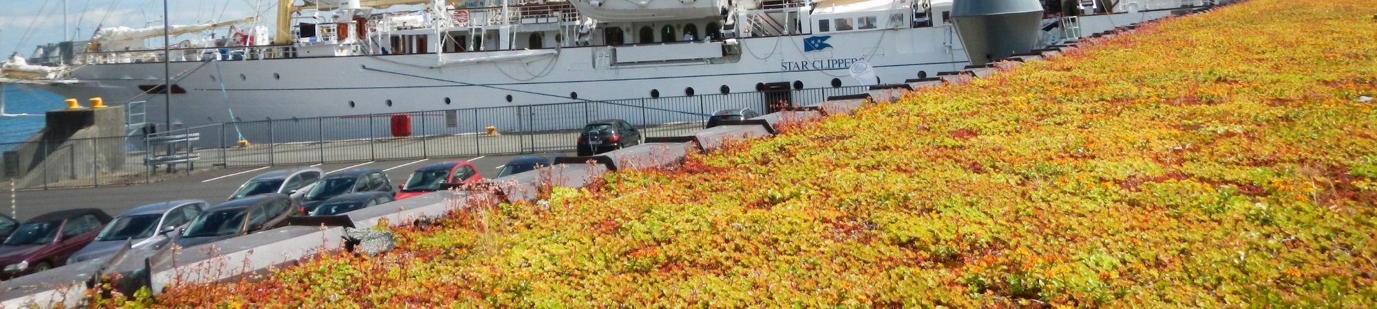 Ritningar – Sedum 100 _ Gröna tak _ BG Byggros.jpg