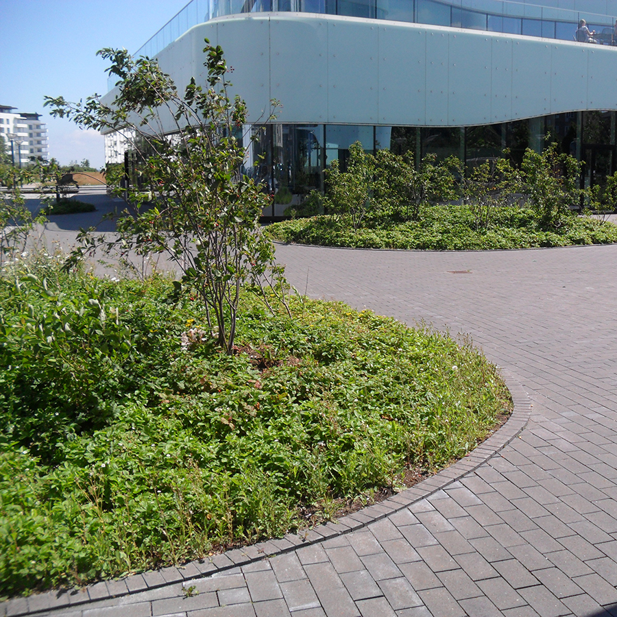 Umbraco.Cms.Core.Models.MediaWithCrops`1[Byggros.Website.Models.ContentModels.Image]