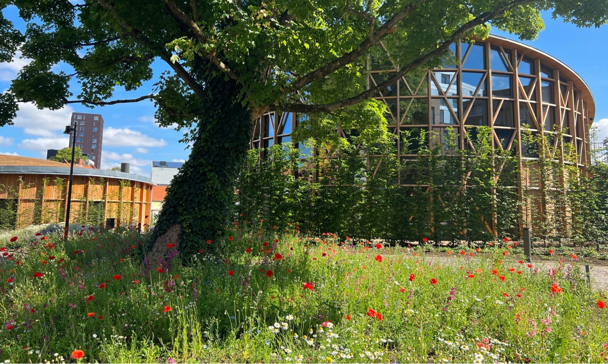 BG Byggros Grønne Tage Og Taghaver
