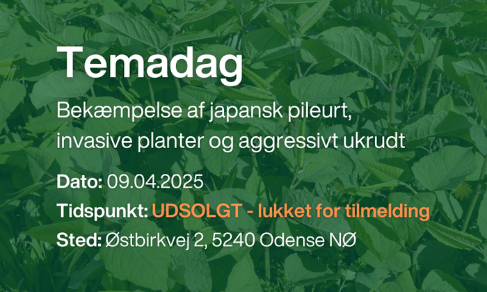 Temadag Bekæmpelse Af Japansk Pileurt, Invasive Planter Og Aggressivt Ukrudt 1
