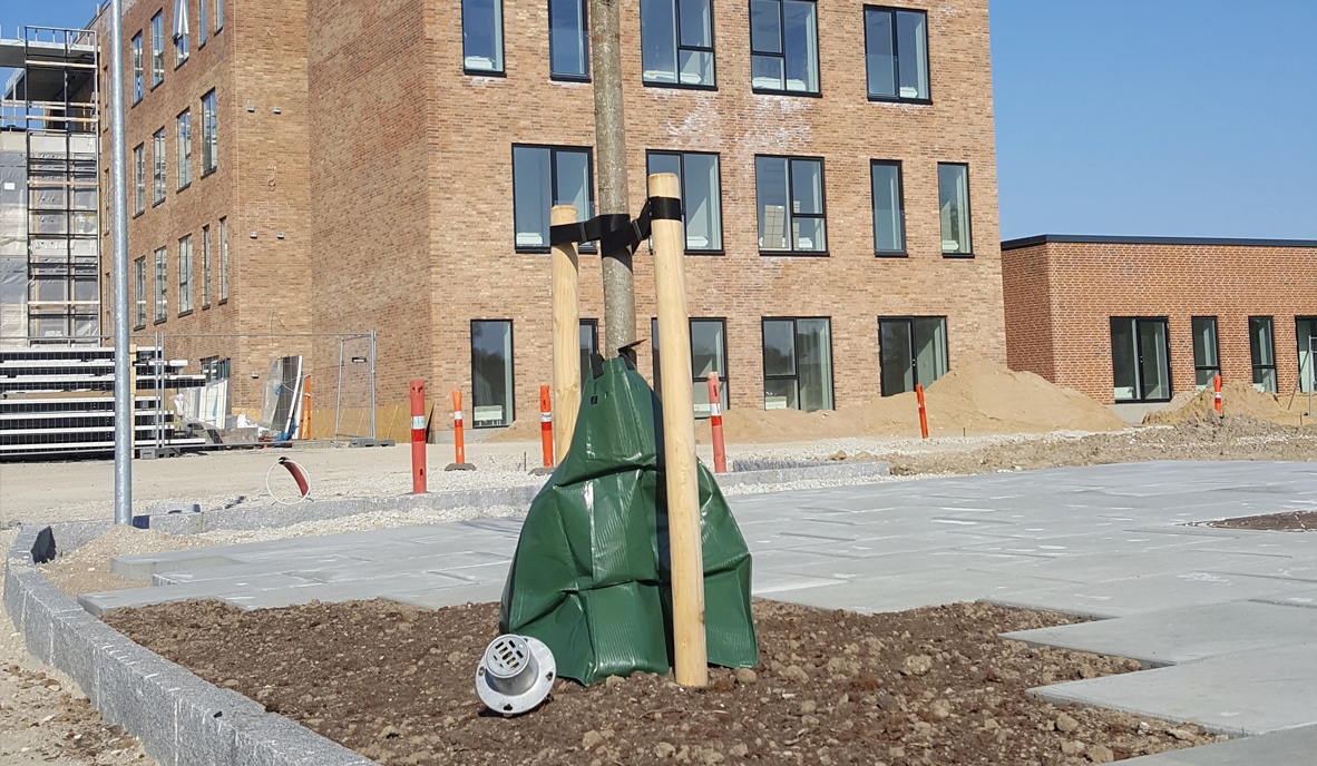 Silva Cell 2 1182X688px