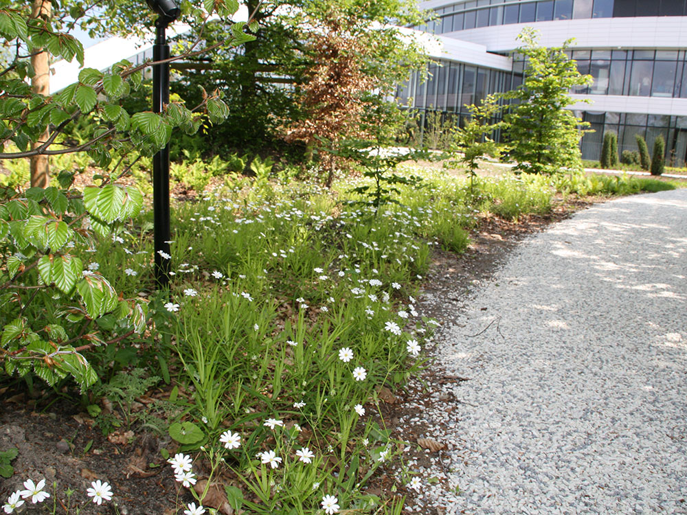 Billede3 Urbangreen Biotoperne Omkring Novo Nordisk Domicilet