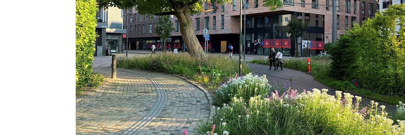 Bgreen It Taghave HC Andersens Nye Hus Bgreen It Taghave HC Andersens Nye Hus