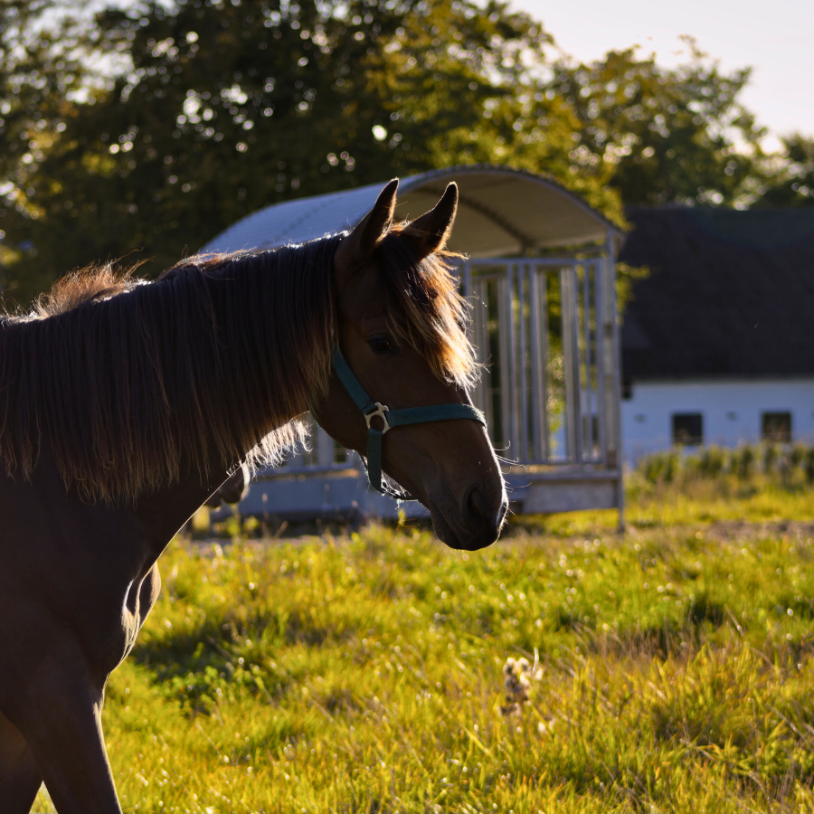 Umbraco.Cms.Core.Models.MediaWithCrops`1[Byggros.Website.Models.ContentModels.Image]