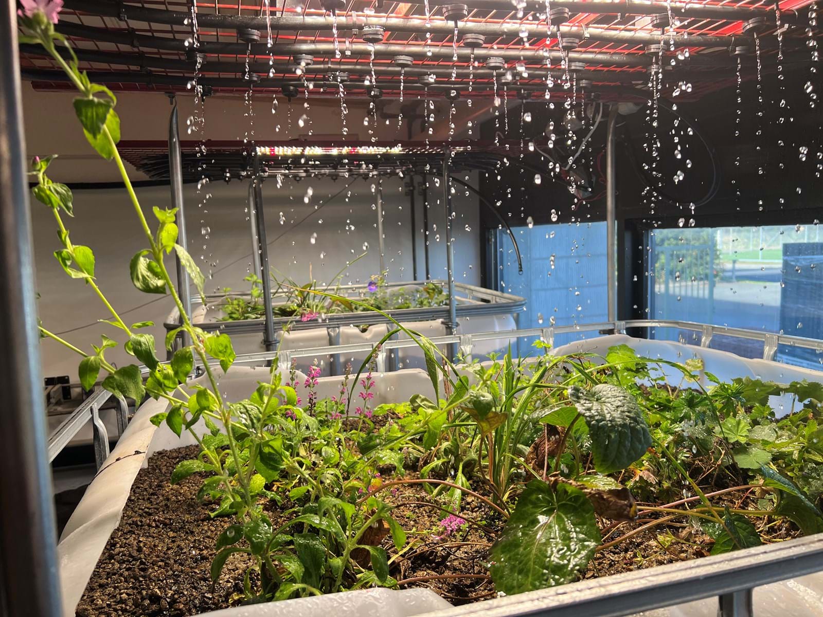 IMG 1697 (1) IMG 1697 (1)