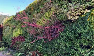 Panda Zoo 3 Panda Zoo 3