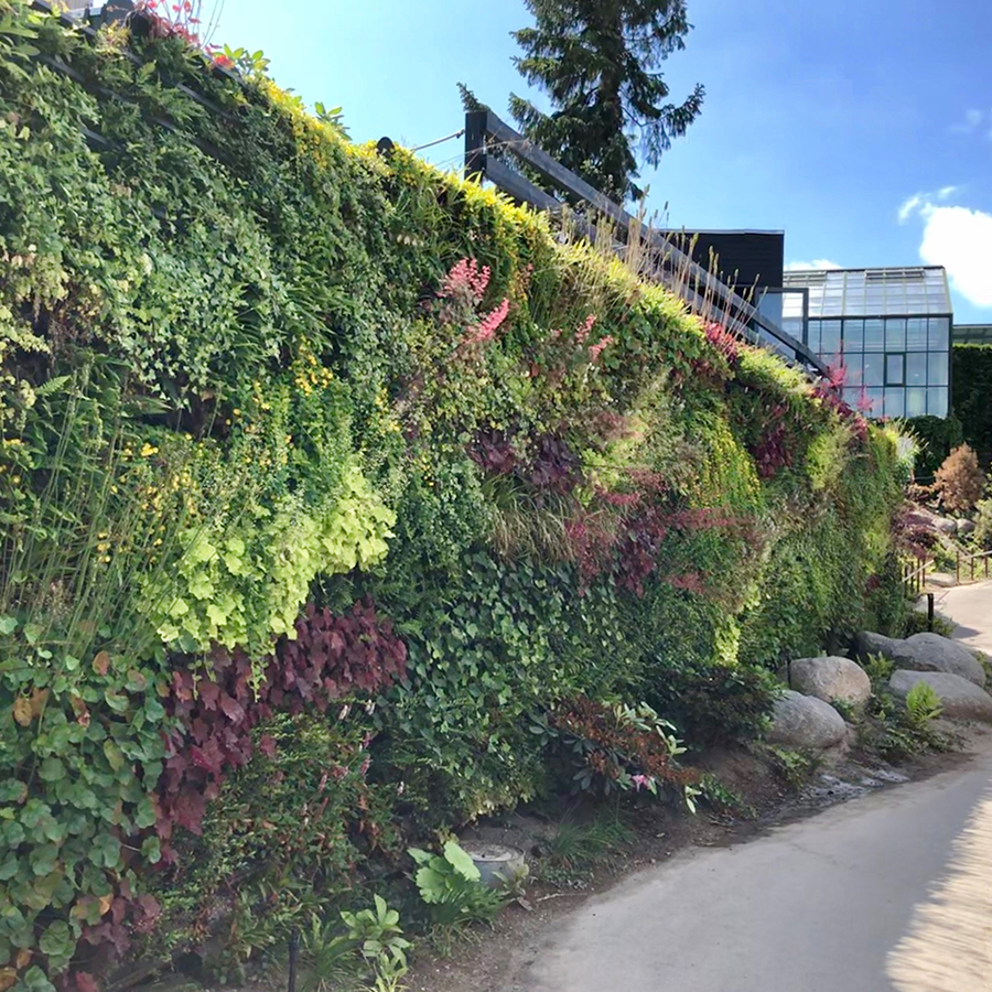 Living Wall 900X900px4