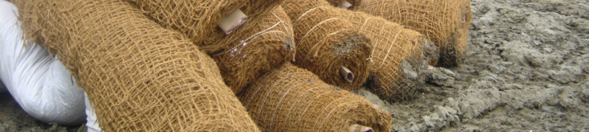 BG Byggros Jutenet.jpg