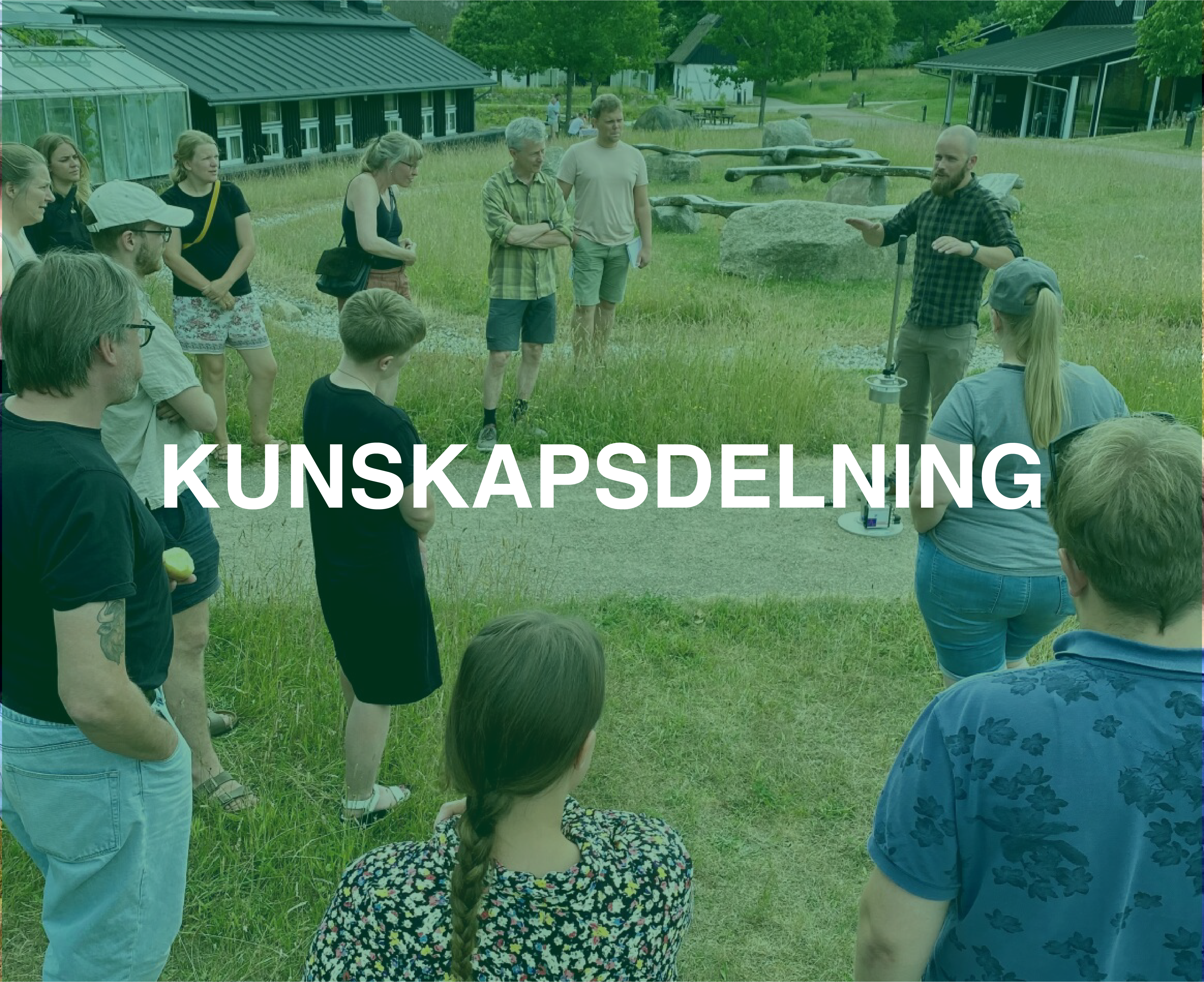 Kunskapsdelning