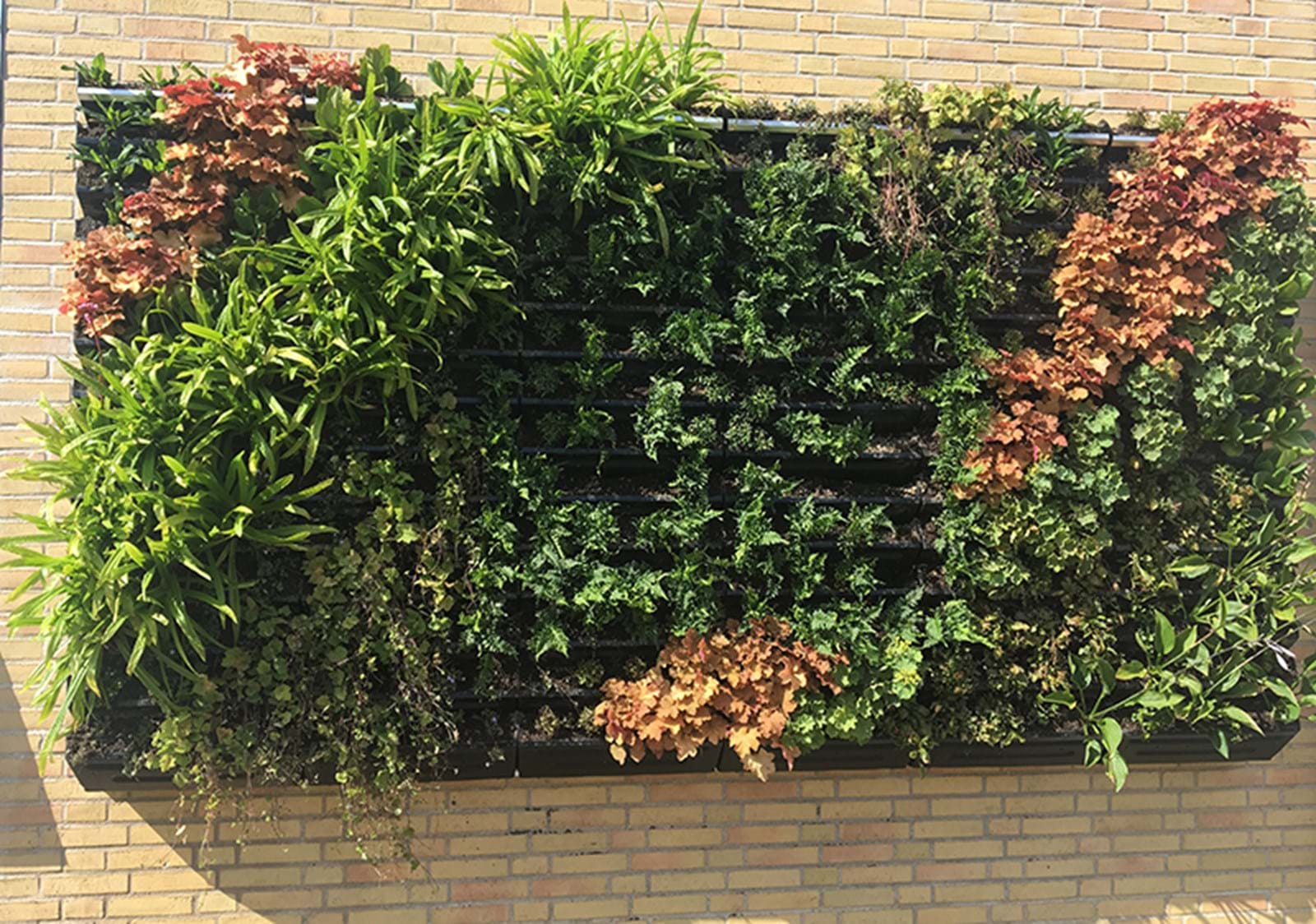 Bgreen It Living Wall Bgreen It Living Wall
