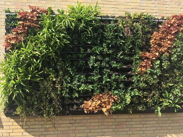 Bgreen It Living Wall Bgreen It Living Wall