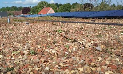 Systemjord1182x688 Systemjord1182x688