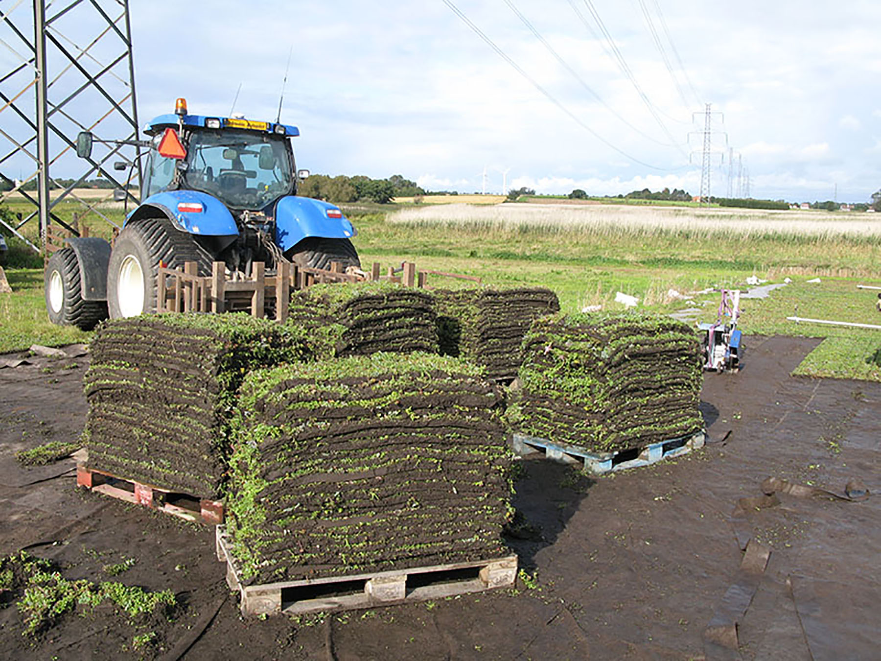 Sedummaatter 2 1800X1350