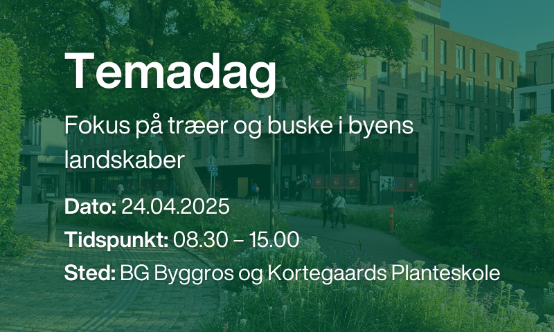 Temadag Tværfaglig Fokus På Træer Og Buske I Urbane Miljøer (1)