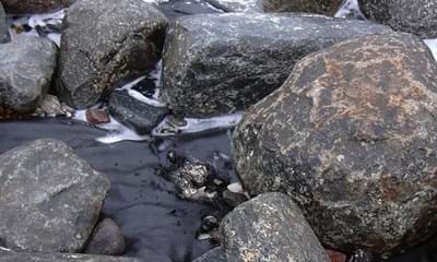 HATE Vaevet Geotekstil 900X900px 5 HATE Vaevet Geotekstil 900X900px 5