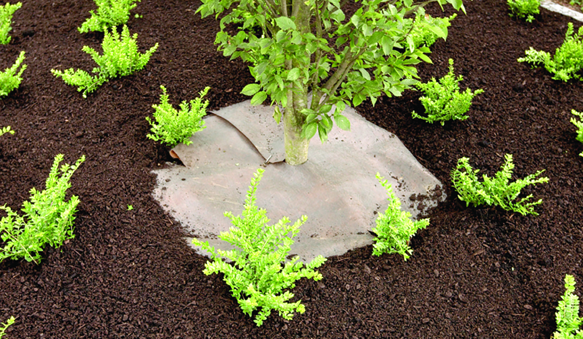 Plantex Gold 1182X688px