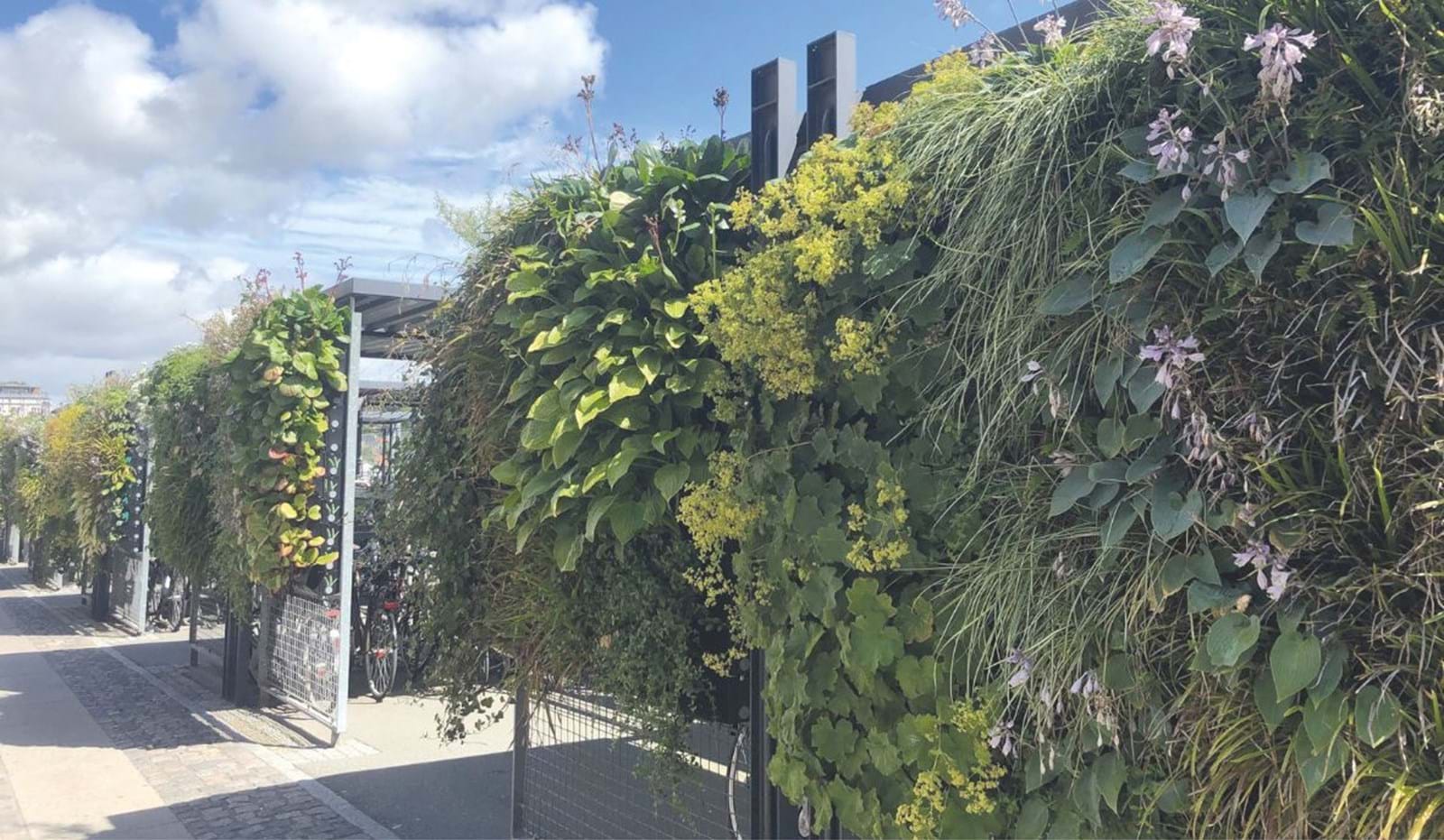 Grønne Vægge Topbanner 1182X688 Px Grønne Vægge Topbanner 1182X688 Px