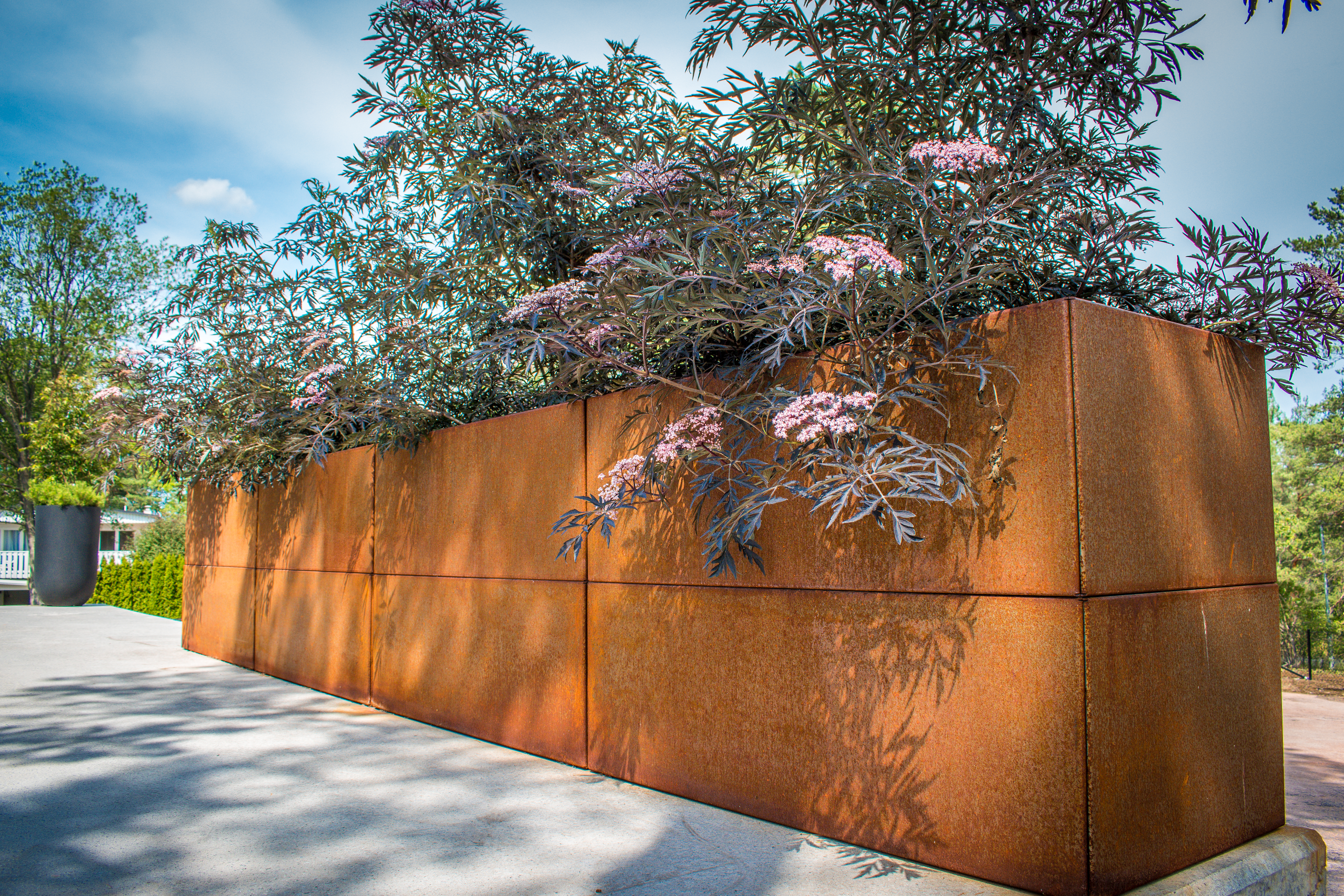 Corten Villaavium 8