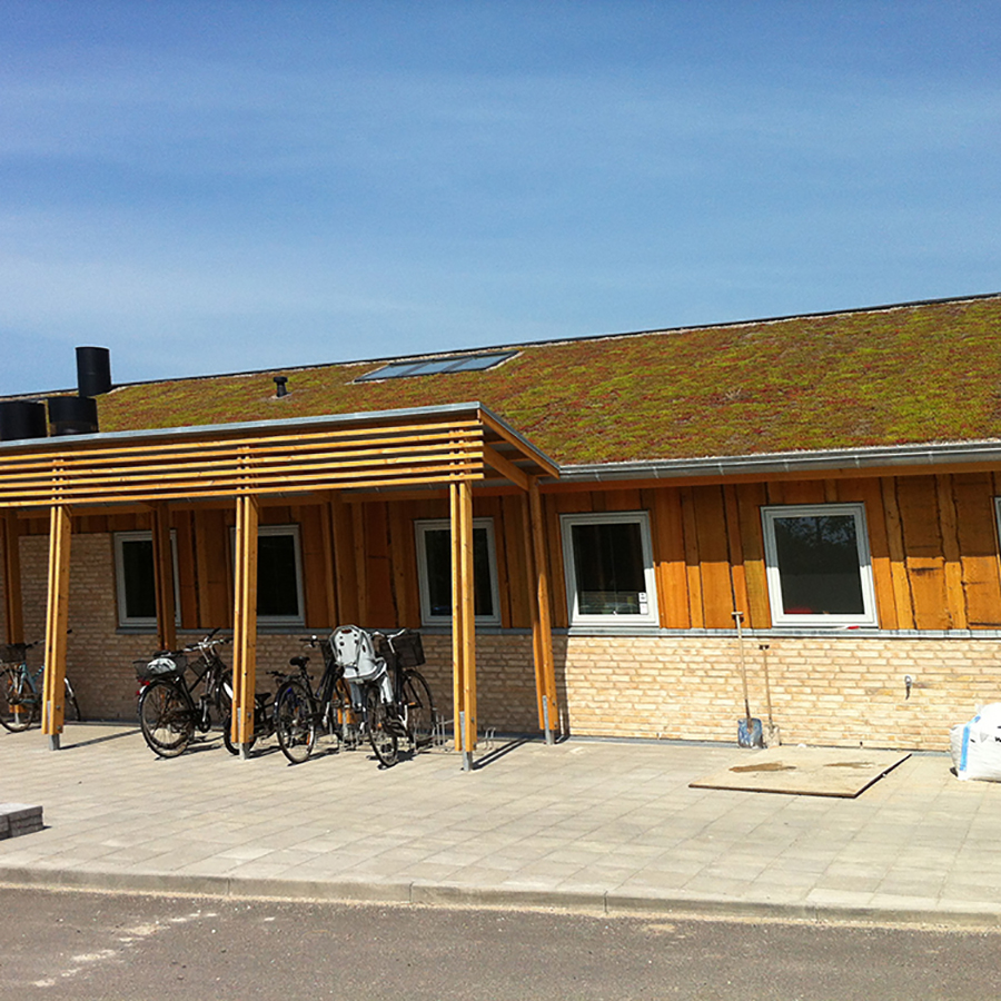 Sedum Light 900X900px1