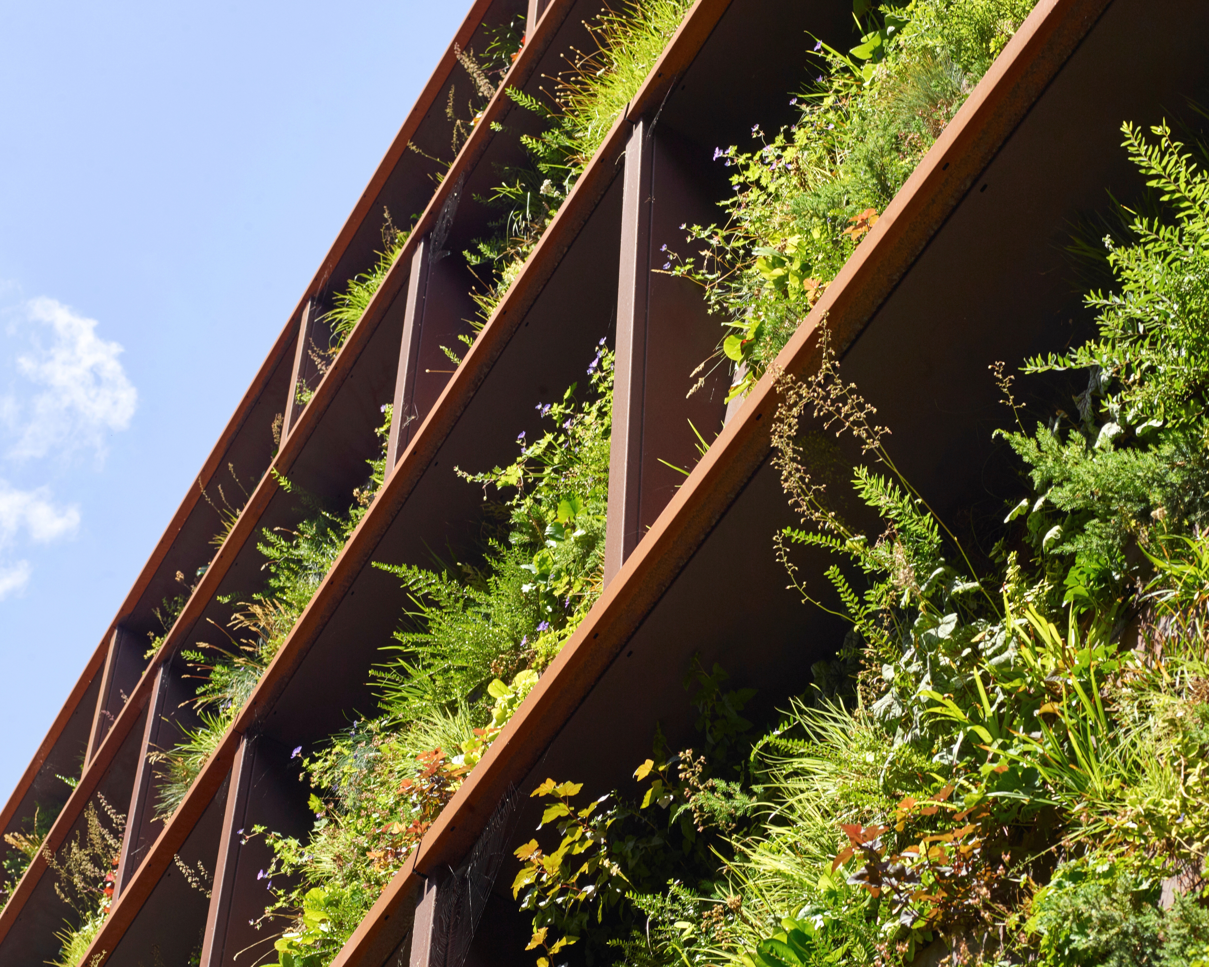 Umbraco.Cms.Core.Models.MediaWithCrops`1[Byggros.Website.Models.ContentModels.Image]