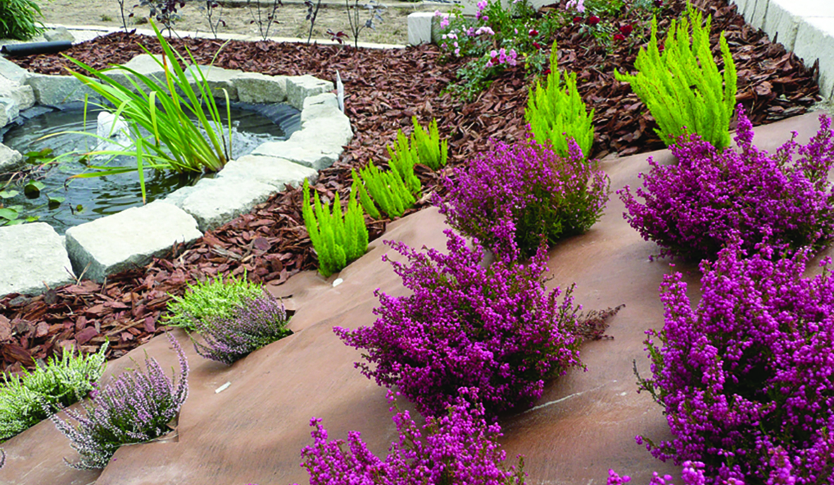 Plantex Övriga Dukar 1182X688px