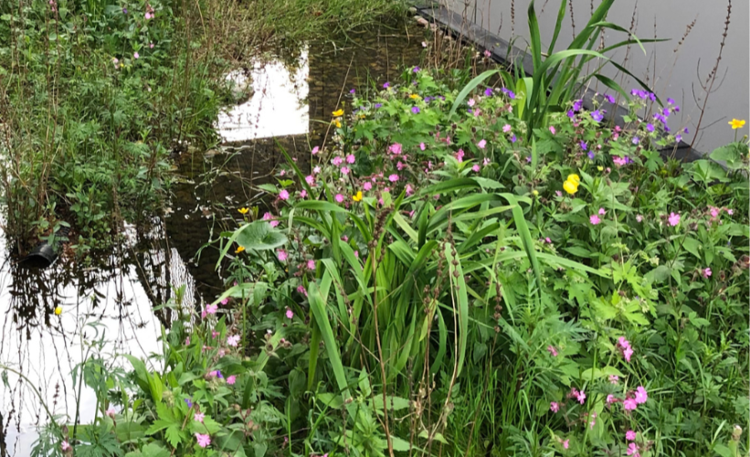 Umbraco.Cms.Core.Models.MediaWithCrops`1[Byggros.Website.Models.ContentModels.Image]