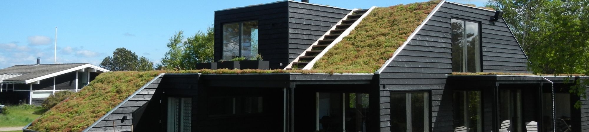 Gröna tak – BGreen-it DiaCell _ BG Byggros.jpg